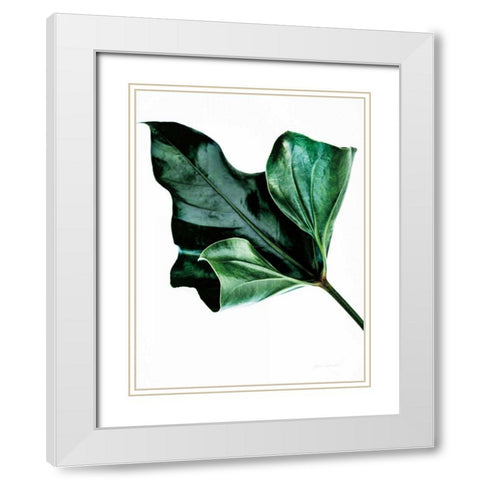 Monstera White Modern Wood Framed Art Print with Double Matting by Catterall, Elise