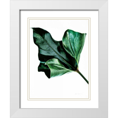 Monstera White Modern Wood Framed Art Print with Double Matting by Catterall, Elise