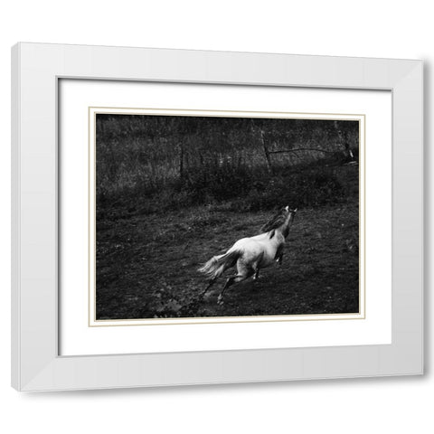 Running Horse White Modern Wood Framed Art Print with Double Matting by Aledanda