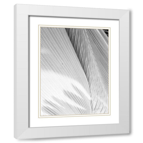 Leaf Abstract I White Modern Wood Framed Art Print with Double Matting by Goldstein, Ed