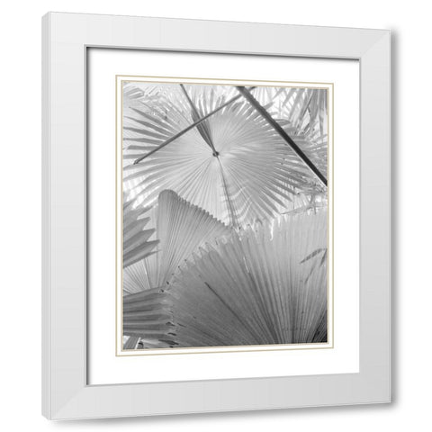 Leaf Abstract II White Modern Wood Framed Art Print with Double Matting by Goldstein, Ed