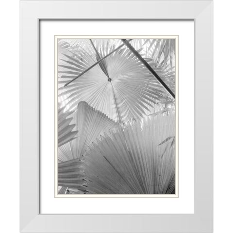 Leaf Abstract II White Modern Wood Framed Art Print with Double Matting by Goldstein, Ed