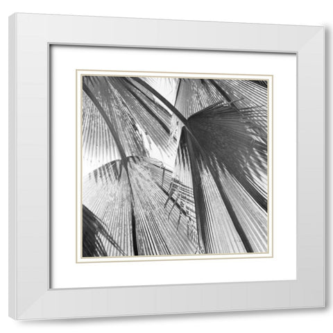 Leaf Abstract III White Modern Wood Framed Art Print with Double Matting by Goldstein, Ed