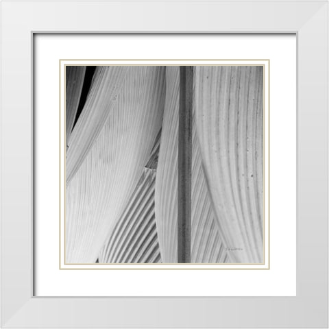 Leaf Abstract IV White Modern Wood Framed Art Print with Double Matting by Goldstein, Ed