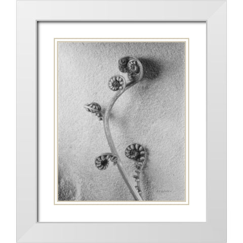 Fiddlehead I White Modern Wood Framed Art Print with Double Matting by Goldstein, Ed