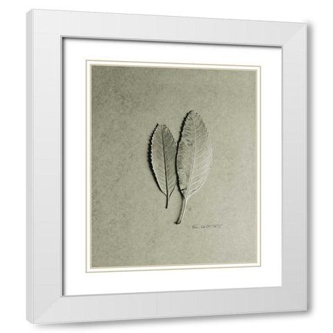 Serrated Duo White Modern Wood Framed Art Print with Double Matting by Goldstein, Ed