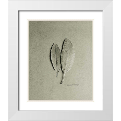 Serrated Duo White Modern Wood Framed Art Print with Double Matting by Goldstein, Ed