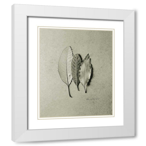 Serrated Trio White Modern Wood Framed Art Print with Double Matting by Goldstein, Ed