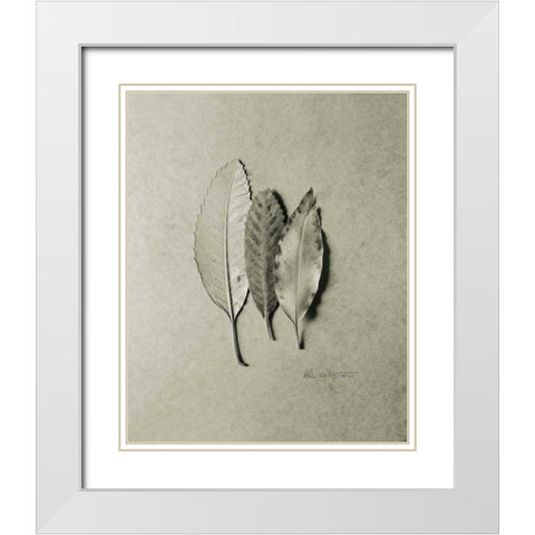 Serrated Trio White Modern Wood Framed Art Print with Double Matting by Goldstein, Ed