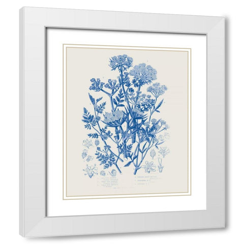 Flowering Plants IV Mid Blue White Modern Wood Framed Art Print with Double Matting by Wild Apple Portfolio