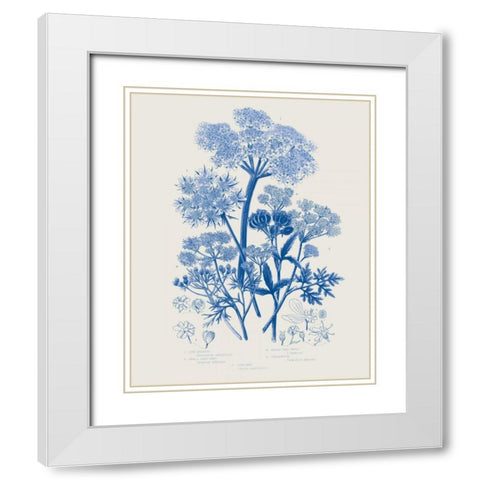 Flowering Plants VI Mid Blue White Modern Wood Framed Art Print with Double Matting by Wild Apple Portfolio
