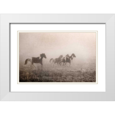 Paint Horses on the Run White Modern Wood Framed Art Print with Double Matting by Van Swearingen, Debra