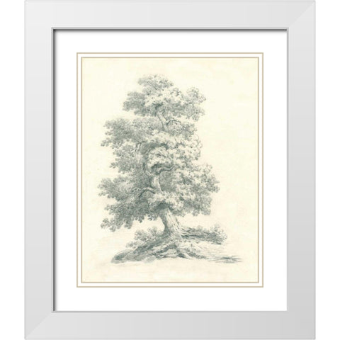 Tree Study II White Modern Wood Framed Art Print with Double Matting by Wild Apple Portfolio
