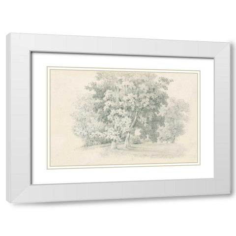 Edge of the Woods Sketch White Modern Wood Framed Art Print with Double Matting by Wild Apple Portfolio