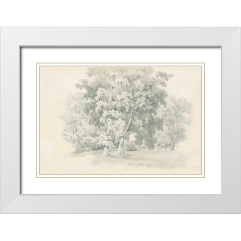 Edge of the Woods Sketch White Modern Wood Framed Art Print with Double Matting by Wild Apple Portfolio