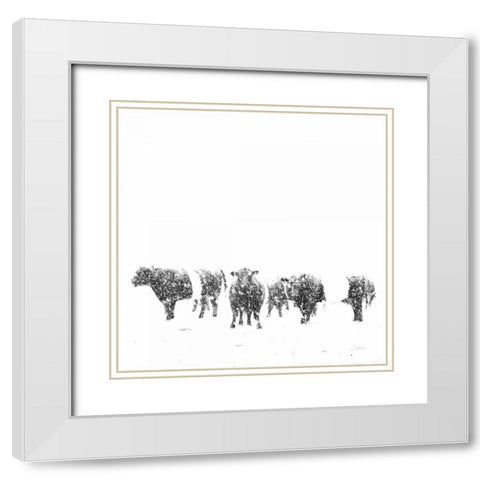 Oreos and Milk II Sq White Modern Wood Framed Art Print with Double Matting by Aledanda