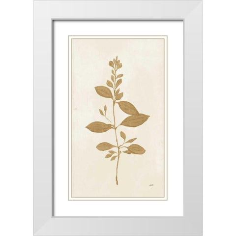Botanical Study VIII Gold White Modern Wood Framed Art Print with Double Matting by Purinton, Julia