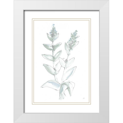 Lambs Ear Sage III Bleached White Modern Wood Framed Art Print with Double Matting by Paschke, Chris