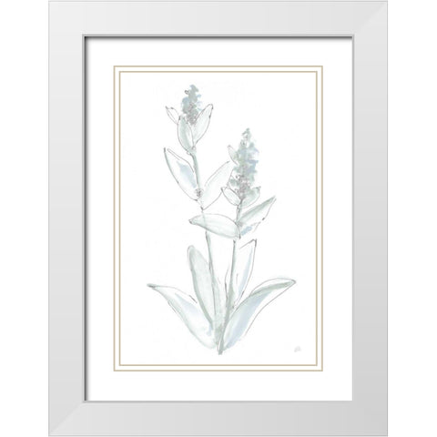 Lambs Ear Sage IV Bleached White Modern Wood Framed Art Print with Double Matting by Paschke, Chris