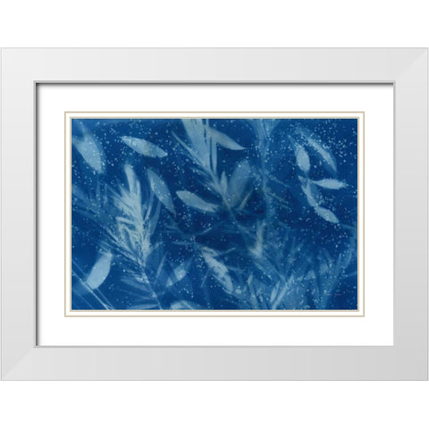 Cyanotype Tropical VII White Modern Wood Framed Art Print with Double Matting by Green, Nancy