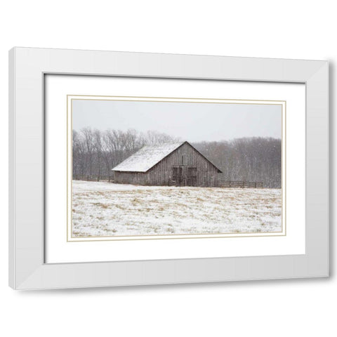 First Snow White Modern Wood Framed Art Print with Double Matting by Aledanda