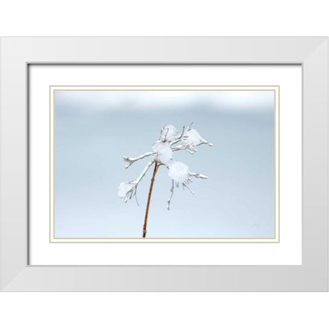 Diamonds in Winter I White Modern Wood Framed Art Print with Double Matting by Bradley, Felicity