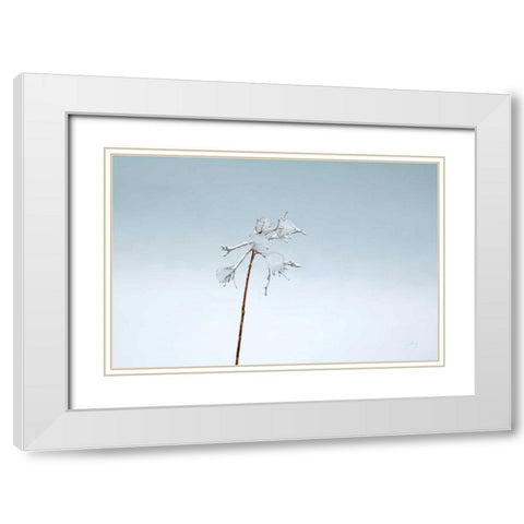 Diamonds in Winter II White Modern Wood Framed Art Print with Double Matting by Bradley, Felicity