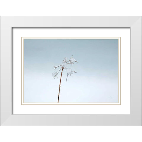 Diamonds in Winter II White Modern Wood Framed Art Print with Double Matting by Bradley, Felicity