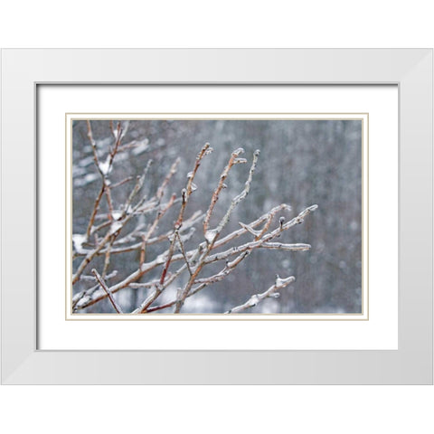 Glistening Branches I White Modern Wood Framed Art Print with Double Matting by Bradley, Felicity
