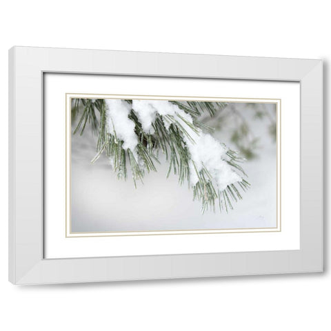 Snowy Bough White Modern Wood Framed Art Print with Double Matting by Bradley, Felicity