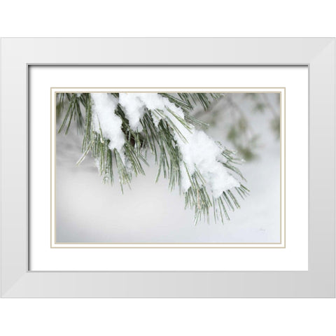 Snowy Bough White Modern Wood Framed Art Print with Double Matting by Bradley, Felicity