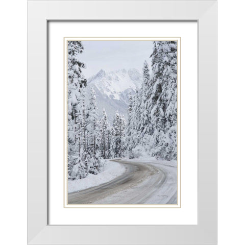 Mount Baker Highway II White Modern Wood Framed Art Print with Double Matting by Majchrowicz, Alan