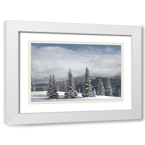 North Cascades in Winter II White Modern Wood Framed Art Print with Double Matting by Majchrowicz, Alan