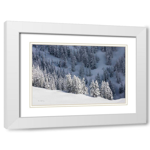 North Cascades in Winter III White Modern Wood Framed Art Print with Double Matting by Majchrowicz, Alan