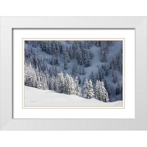 North Cascades in Winter III White Modern Wood Framed Art Print with Double Matting by Majchrowicz, Alan