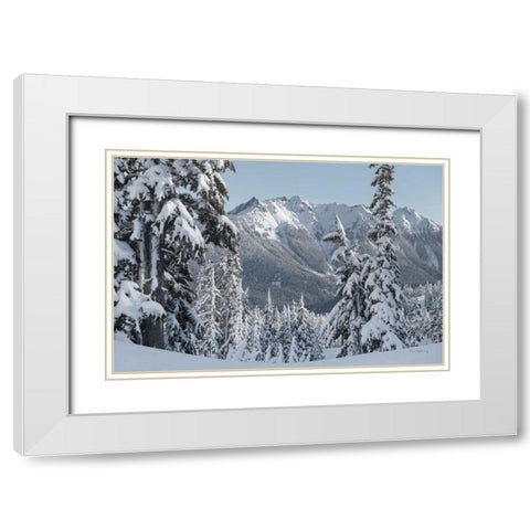 Nooksack Ridge in Winter White Modern Wood Framed Art Print with Double Matting by Majchrowicz, Alan