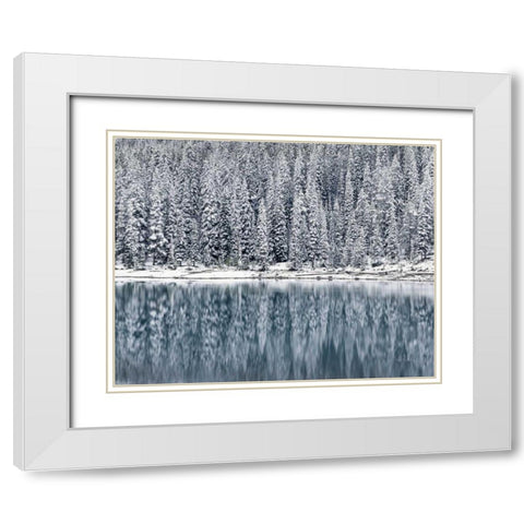 Winter Reflections White Modern Wood Framed Art Print with Double Matting by Majchrowicz, Alan