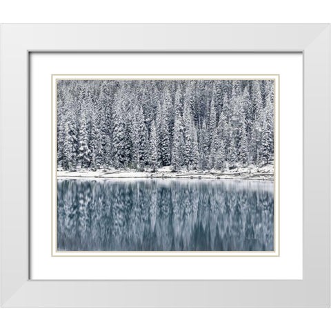 Winter Reflections White Modern Wood Framed Art Print with Double Matting by Majchrowicz, Alan