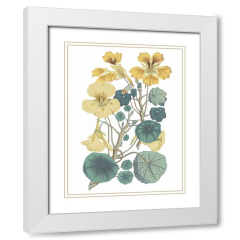 Antique Botanical XVII Cool White Modern Wood Framed Art Print with Double Matting by Wild Apple Portfolio