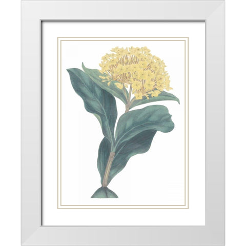 Harlequin Floral Cool White Modern Wood Framed Art Print with Double Matting by Wild Apple Portfolio