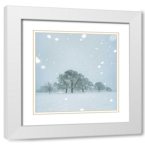 Winter Landscape I White Modern Wood Framed Art Print with Double Matting by Eichman, Andre