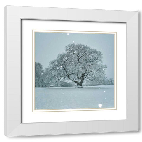Winter Landscape III White Modern Wood Framed Art Print with Double Matting by Eichman, Andre