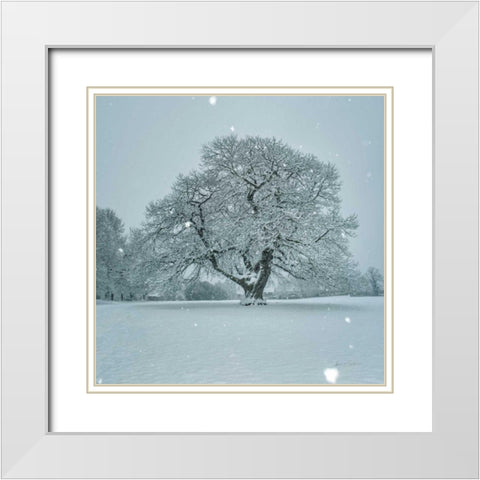 Winter Landscape III White Modern Wood Framed Art Print with Double Matting by Eichman, Andre