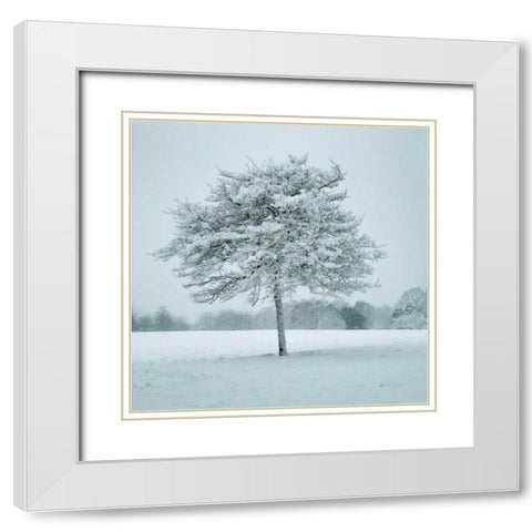 Winter Landscape IV White Modern Wood Framed Art Print with Double Matting by Eichman, Andre