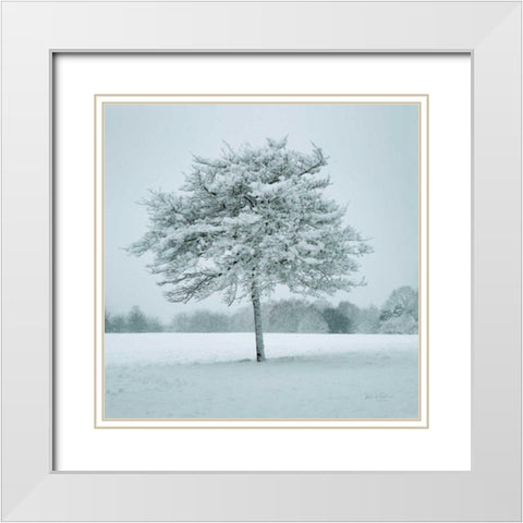 Winter Landscape IV White Modern Wood Framed Art Print with Double Matting by Eichman, Andre