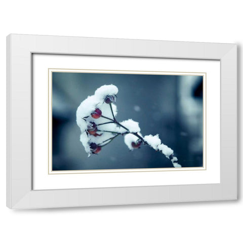 Light and Fluffy White Modern Wood Framed Art Print with Double Matting by Eichman, Andre