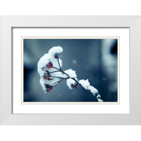 Light and Fluffy White Modern Wood Framed Art Print with Double Matting by Eichman, Andre