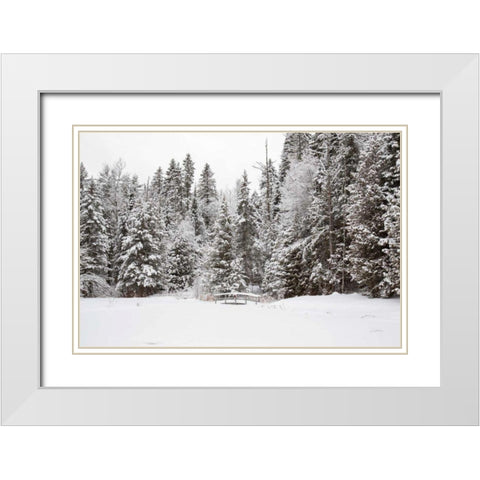 Over the Bridge White Modern Wood Framed Art Print with Double Matting by Aledanda