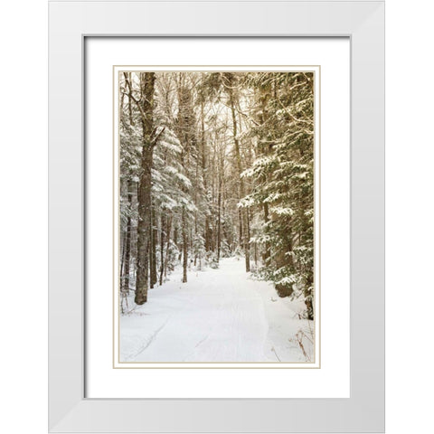 Through the Woods White Modern Wood Framed Art Print with Double Matting by Aledanda