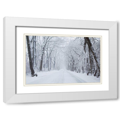Going Home White Modern Wood Framed Art Print with Double Matting by Aledanda